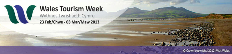 wtw_banner_nowtalogo resized